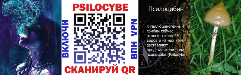 kraken ссылки  Игарка  Псилоцибиновые грибы Cubensis 