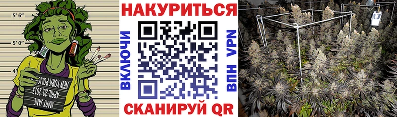 как найти закладки  Игарка  Каннабис тримм 
